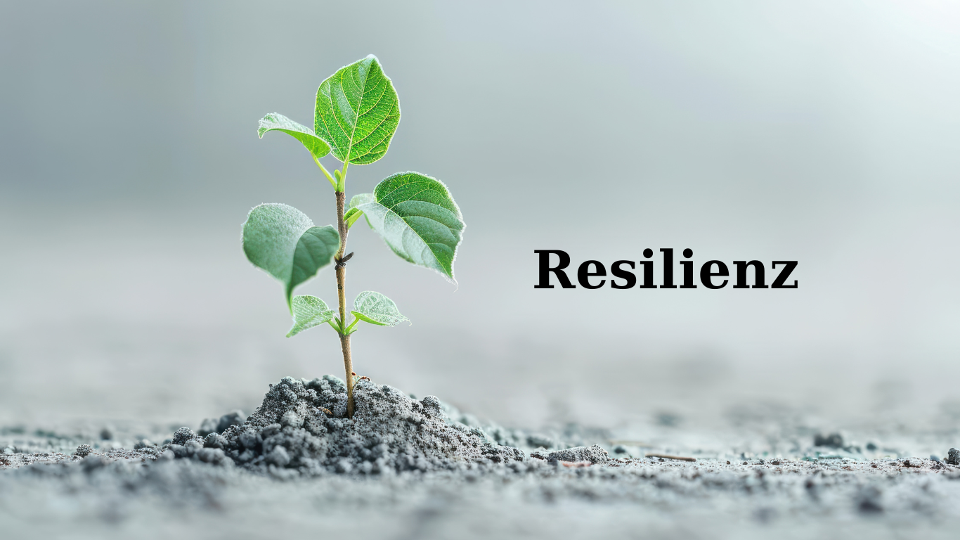 Mehr über den Artikel erfahren Resilienz